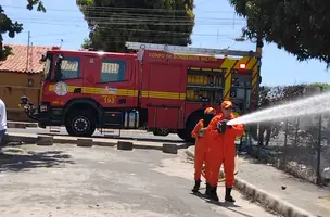 Várias cidades podem ficar sem energia se o fogo não for controlado (Foto: Divulgação)