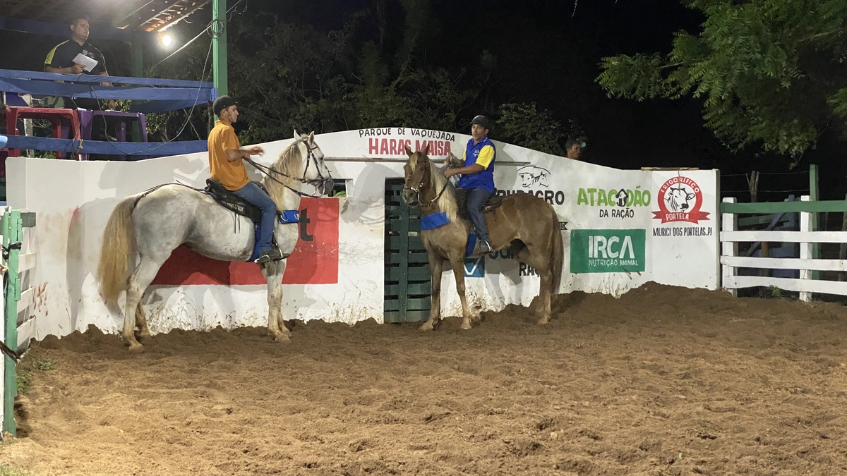 A vaquejada contou com vaqueiros vindos de várias cidades