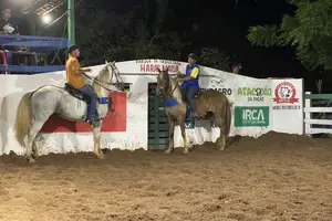 A vaquejada contou com vaqueiros vindos de várias cidades (Foto: Pedro Lima)