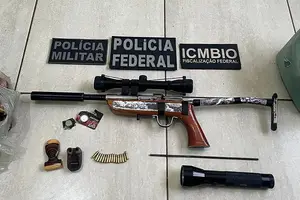 Armas apreendidas em Operação Biodiversidade Caatingueira I (Foto: SSP-PI)