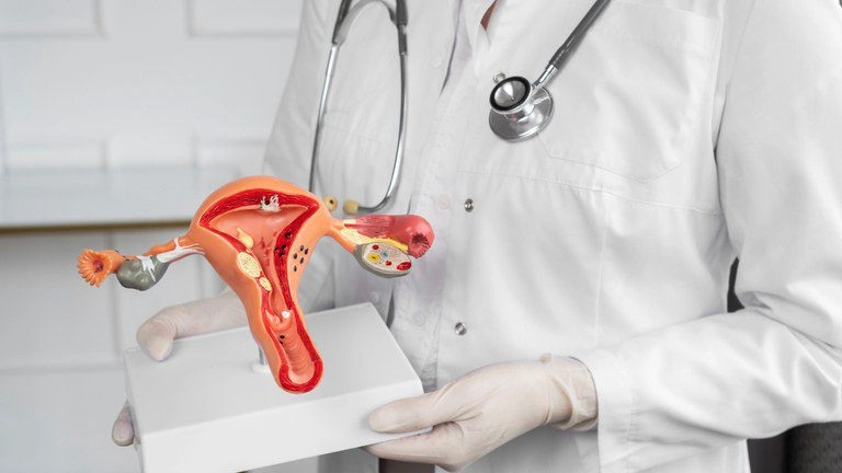 Atendimento a mulheres acometidas de endometriose profunda no Sistema Único de Saúde (SUS) em todo o Brasil