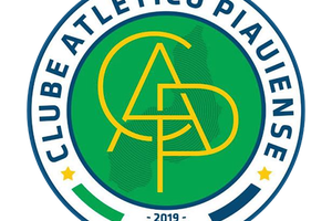Atlético piauiense reage a golpes (Foto: Reprodução)