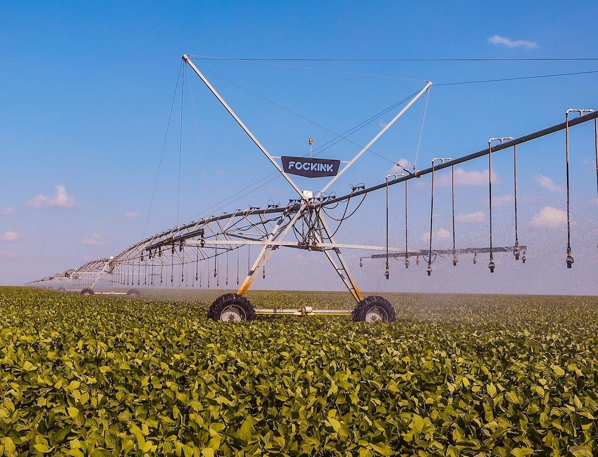 Campo agrícola