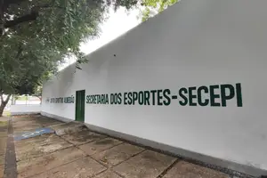 O projeto Transforme - Esporte para Todos tem o objetivo de fortalecer e ampliar o acesso ao paradesporto no Piauí. (Foto: Divulgação)