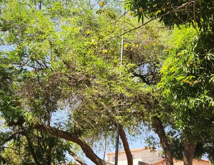 Praça do Bela Vista I inaugurada em 1995