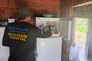 PESCA ILEGAL (Foto: SEMAR)