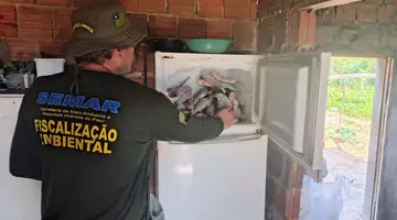 PESCA ILEGAL (Foto: SEMAR)