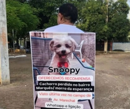 Seis meses de buscas, tutor reencontra cão desaparecido