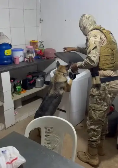 Suspeitos de latrocínio contra empresário do ramo de ouro são alvos de operação, Operação Caronte