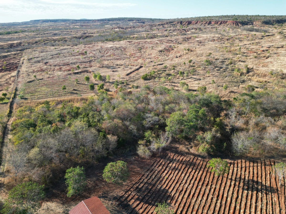 Piauí reduz desmatamento no Cerrado