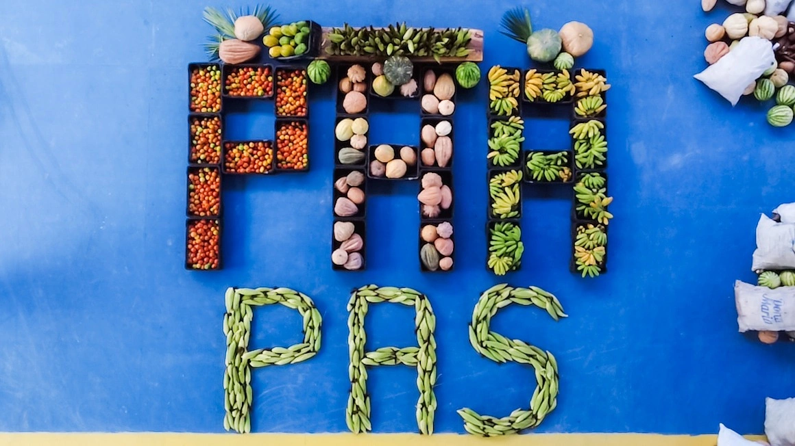 SAF entrega 35 toneladas de alimentos da agricultura familiar