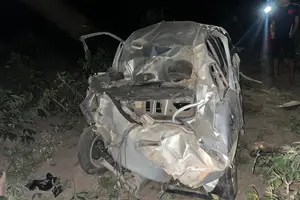 Carro de Giliard capota na PI-378, em Pio IX (Foto: PM-PI)