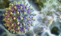 Ministério da Saúde descarta risco do vírus Nipah para o Brasil