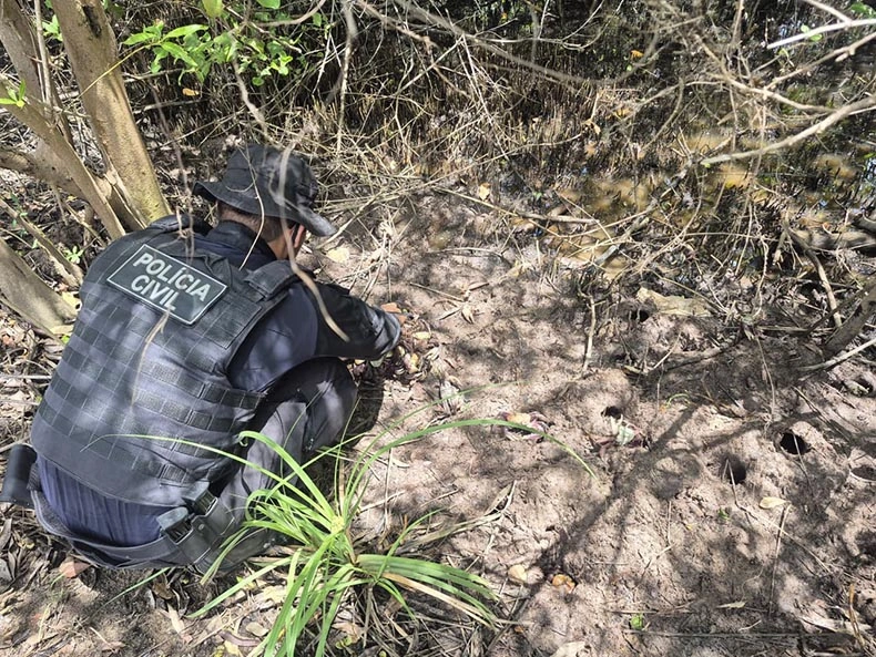 Fiscalização apreende quase 900 caranguejos-uçá durante defeso no litoral e constata crime ambiental