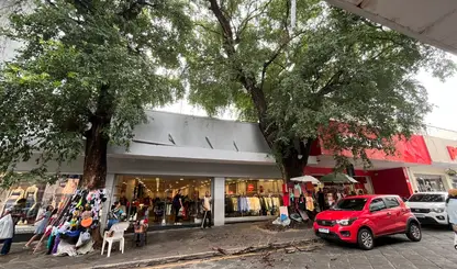 Galho despenca no Centro e quase atinge pai com criança no colo