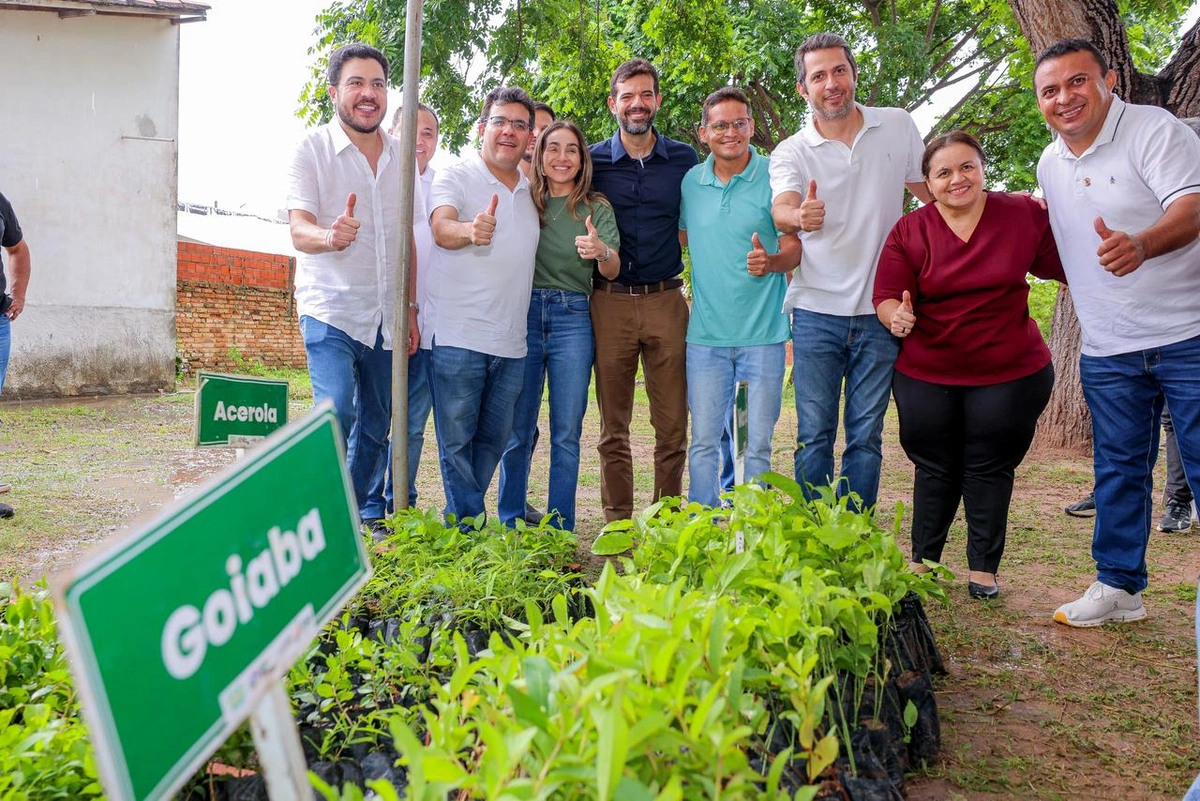 Governador visita obras da BR-316, entrega 5 mil mudas e autoriza novos investimentos em Monsenhor Gil