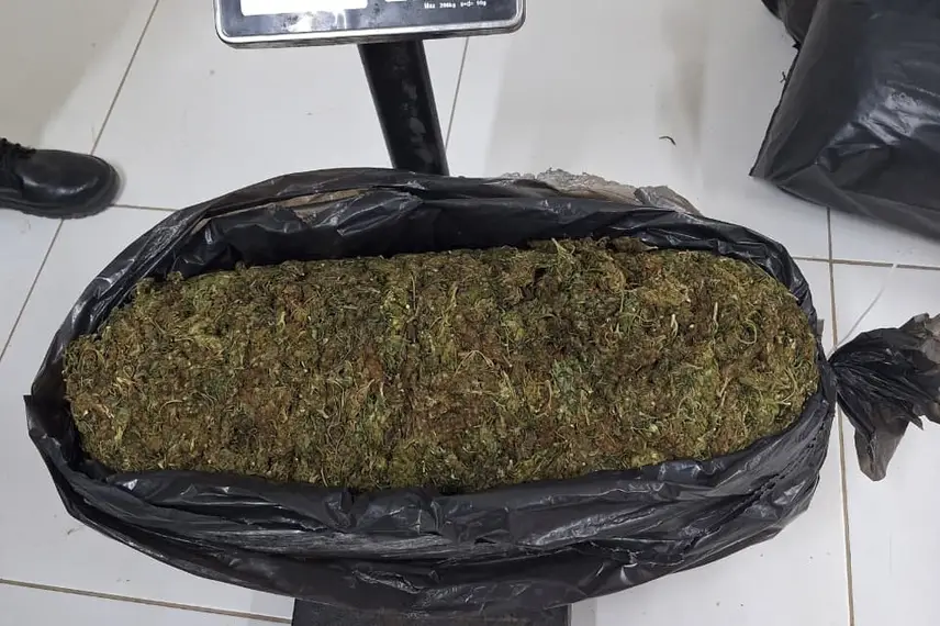 Motorista é preso transportando 121 kg de maconha