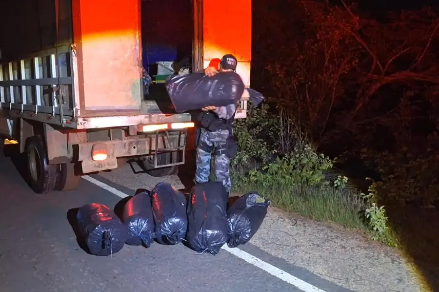 Motorista é preso transportando 121 kg de maconha