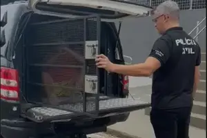 Prisões em Teresina de condenados (Foto: SSP-PI)