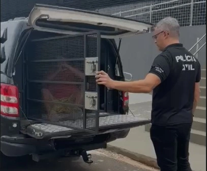 Prisões em Teresina de condenados