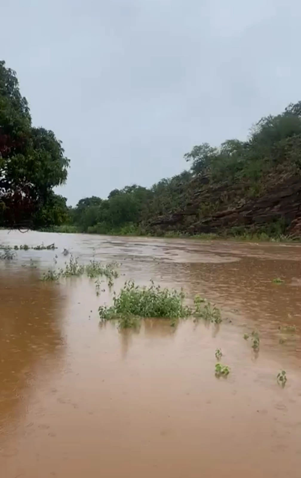 Riacho-Localidade Picos-Dom Inocêncio