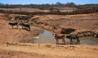 Entre a seca e a enxurrada: Defesa Civil alerta para clima irregular no Piauí