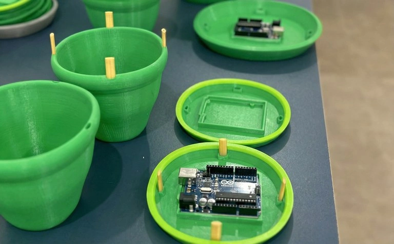 Startup do Tocantins desenvolve armadilha de controle biológico do mosquito da dengue