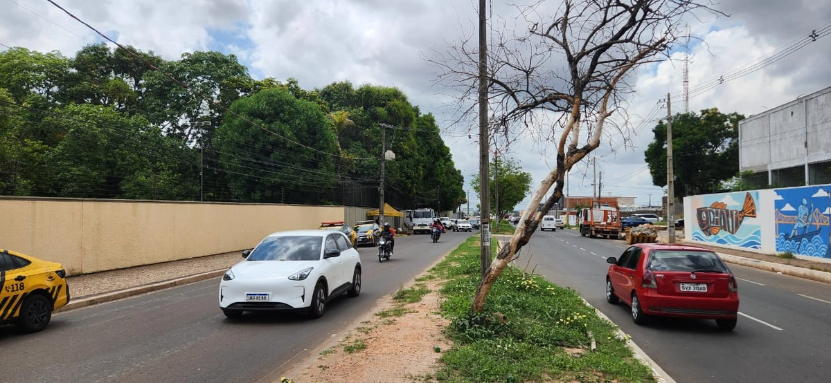 Viaturas da STRANS de mais em um mesmo local dando apoio a uma blitz