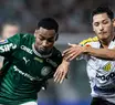 Palmeiras vence Novorizontino e conquista o Paulistão 2026