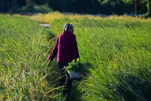 Dai Shuying, 82, volta para casa com os vegetais que colheu nos campos da Vila Laomei, cidade de Tongcheng, leste da China (Foto: Zhou Mu/Xinhua-29.out.25)