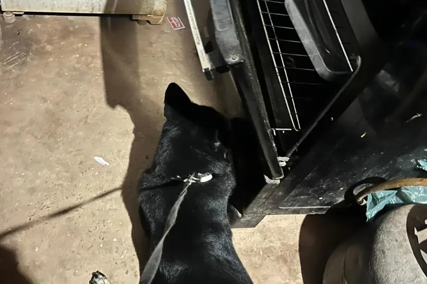 Operação do DENARC em Teresina