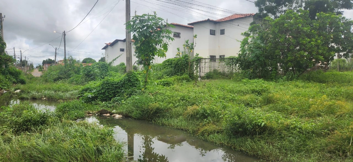 Residencial Torquato Neto e o abandono institucional da prefeitura de Teresina