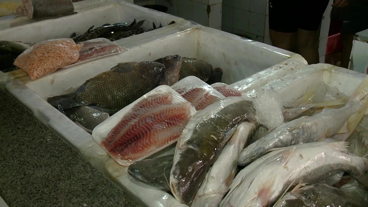 Banca no Mercado Peixe