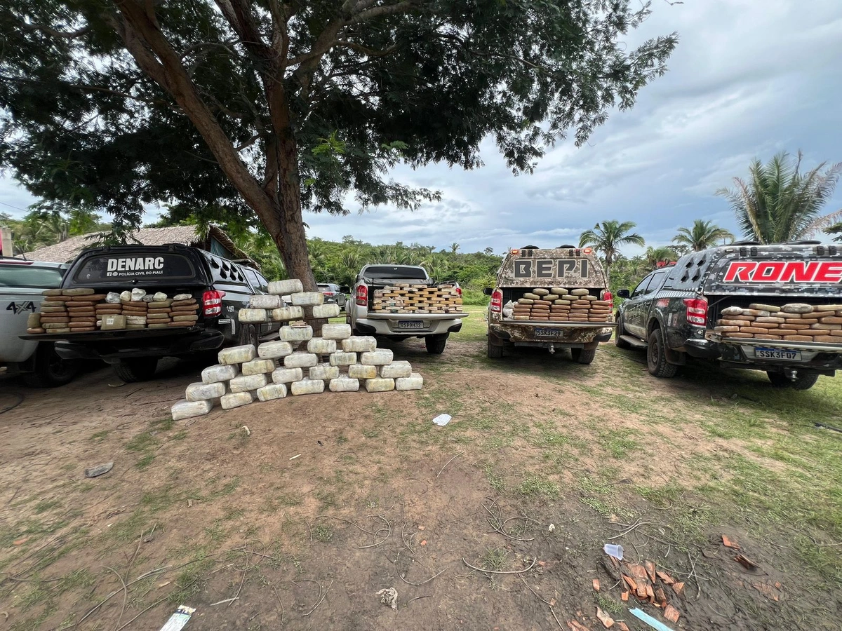 Operação encontra mais 600 kg de drogas enterradas em sítio em Caxias (DENARC, DRACO, BEPI, RONE)