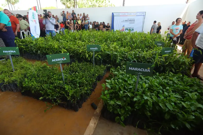 Rafael Fonteles vistoria reforma de escola e obras de calçamento que ampliam qualidade de vida em Sussuapara