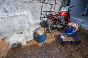 Um abatedouro clandestino de aves localizado no Parque Eliane, na zona Sul de Teresina, foi fechado nesta sexta-feira (24) (Foto: SSP-PI)