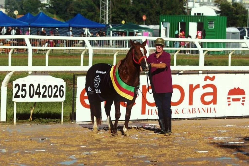 Cavalo Caramelo e seu cuidador Roque Hennicka recebem homenagem no Jockey Club de Porto Alegre
