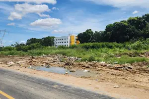 Lixão na zona sudeste ao lado da Avenida Noé Mendes (Foto: Revista40graus)