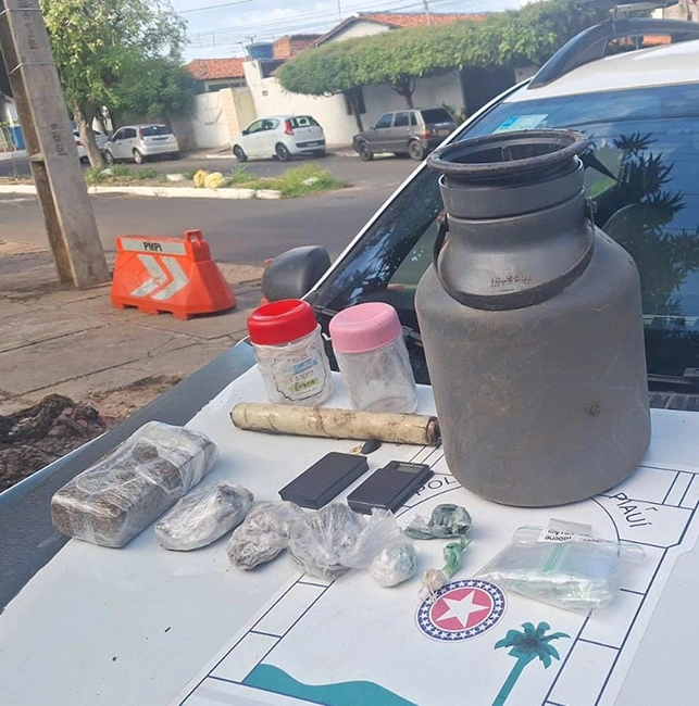 PM apreende drogas enterradas em área de mata na zona Sul de Teresina