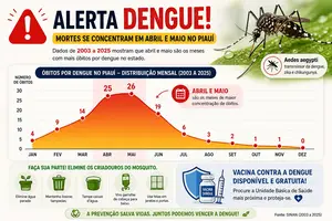 Prevenção contra a Dengue (Foto: Reprodução)