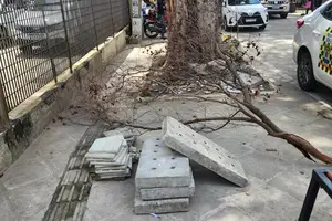 Revitalização fake do centro de Teresina (Foto: Revista40graus)