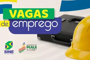 SINE - Sistema Nacional de Empregos (Foto: Reprodução)