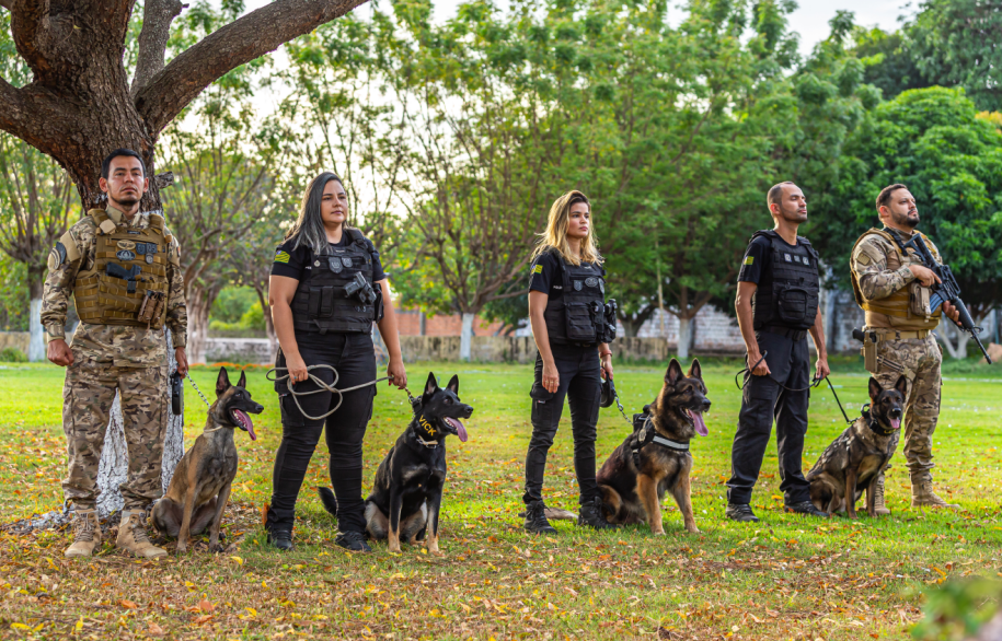 Teresina sedia curso nacional de buscas com cães farejadores para localizar desaparecidos
