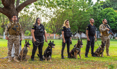 Teresina recebe curso nacional que fortalece buscas por desaparecidos com cães farejadores
