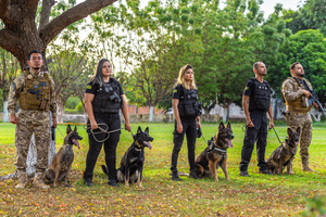 Teresina sedia curso nacional de buscas com cães farejadores para localizar desaparecidos (Foto: SSP-PI)