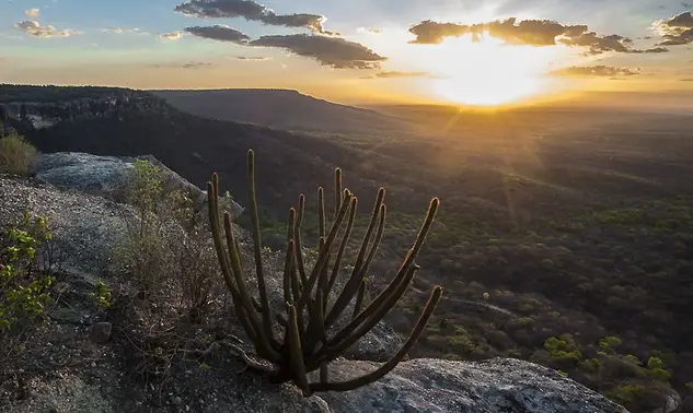 Inverno no Piauí será marcado por tempo seco, calor e redução das chuvas