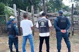 Fiscalização encontra irregularidades em 10 abatedouros no município de Barras diz CRMV (Foto: CRMV-PI)
