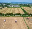Plano da China por autossuficiência alimentar acende alerta para o agro brasileiro