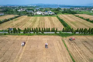 Máquinas agrícolas trabalham durante colheita na vila de Yantang, na província de Zhejiang, no leste da China (Foto: Yao Haixiang - 28.mai.26/Xinhua)