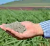 Pó de rocha ganha espaço no campo e reduz dependência brasileira de fertilizantes importados